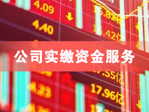 安康公司实缴资金服务